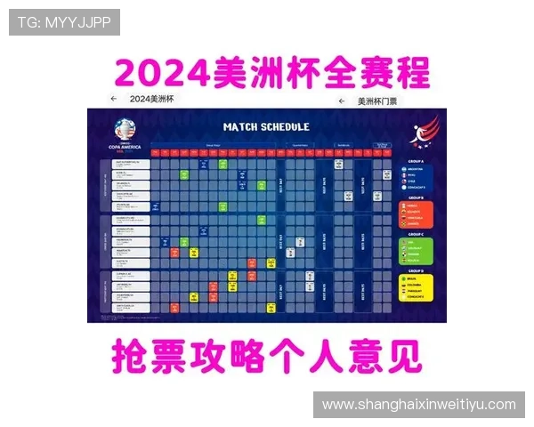 美国成功联合举办2024年美洲杯赛事 创下历史最高收入新纪录